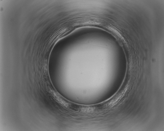 X0000057100793200509301615