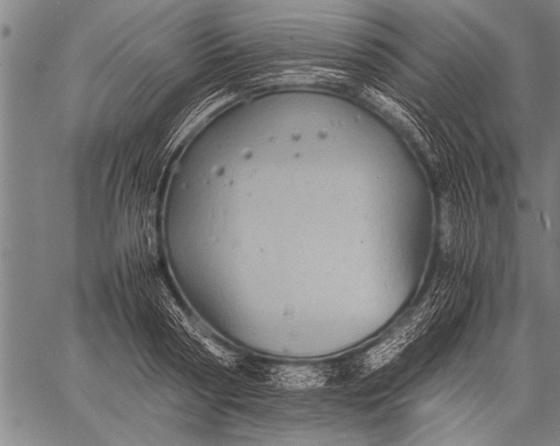 X0000057100794200509301615