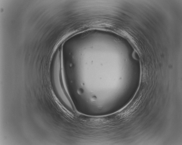 X0000057100795200509301615