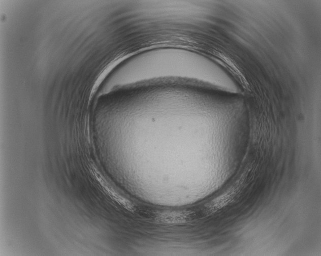 X0000057100796200509301615