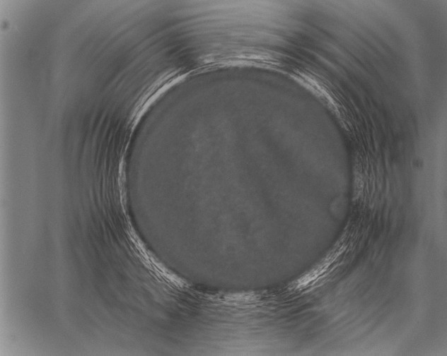 X0000057100798200509301615