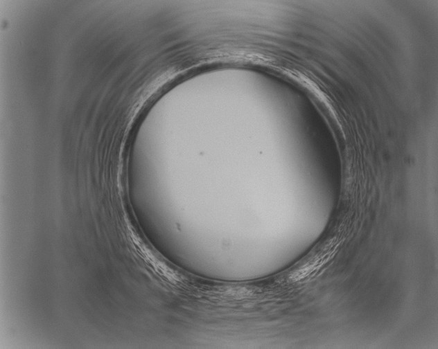 X0000057100799200509301615