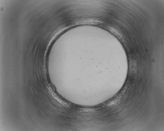 X0000057100800200509301615