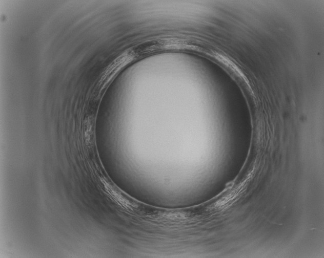 X0000057100801200509301615