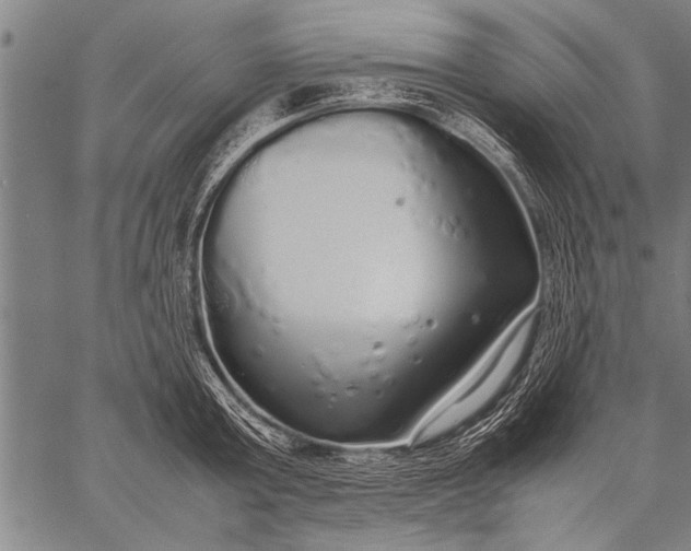 X0000057100803200509301615