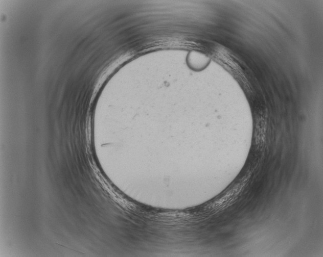 X0000057100804200509301615