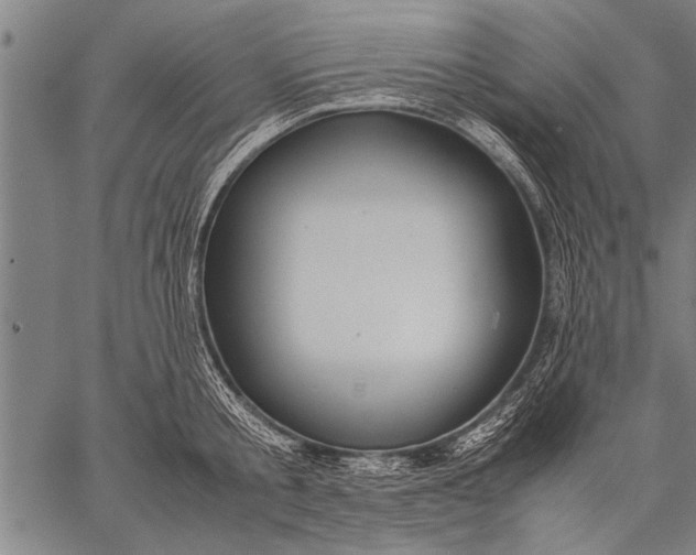 X0000057100805200509301615