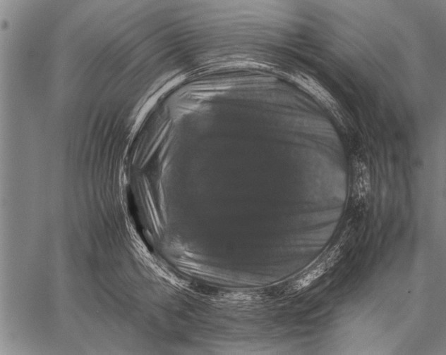 X0000057100806200509301615