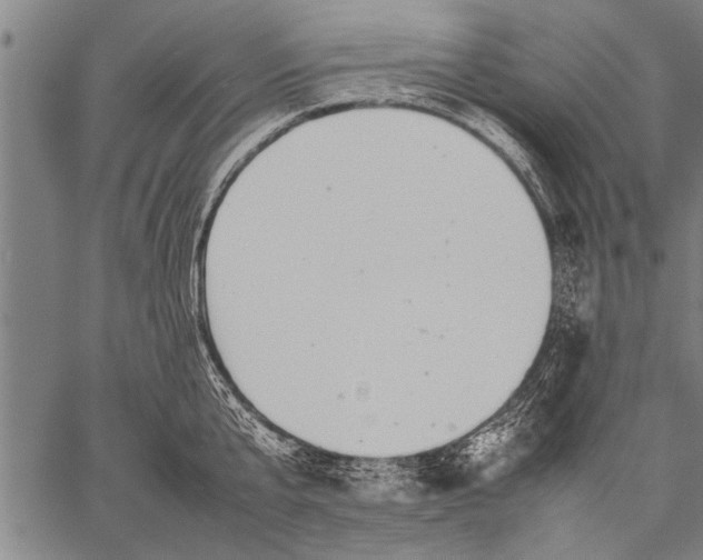 X0000057100807200509301615