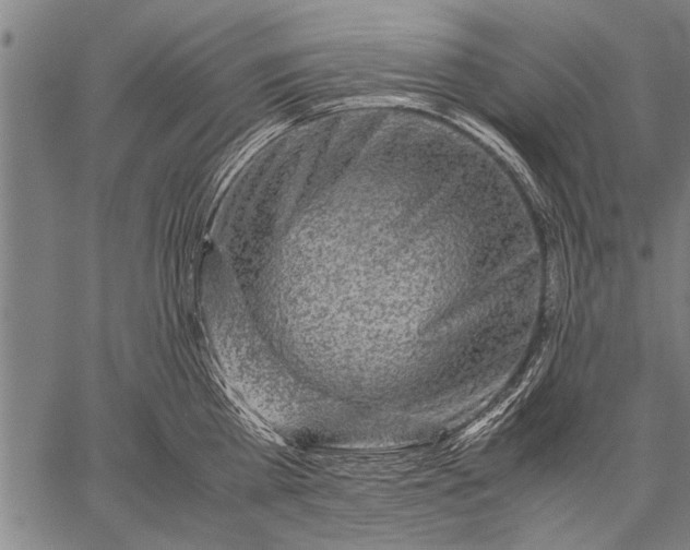 X0000057100809200509301615