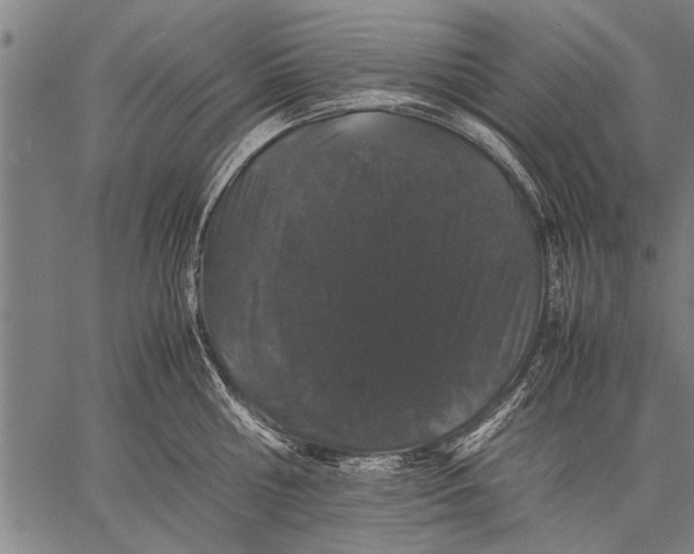 X0000057100810200509301615