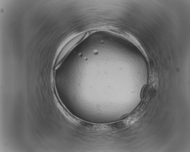 X0000057100811200509301615