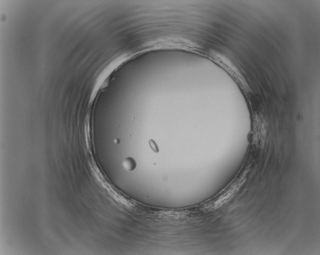 X0000057100812200509301615