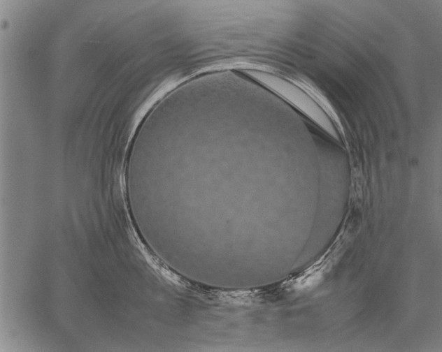 X0000057100813200509301615