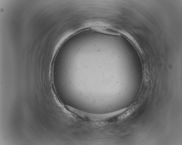 X0000057100815200509301615