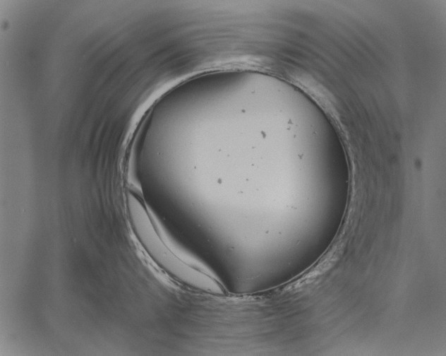 X0000057100816200509301615