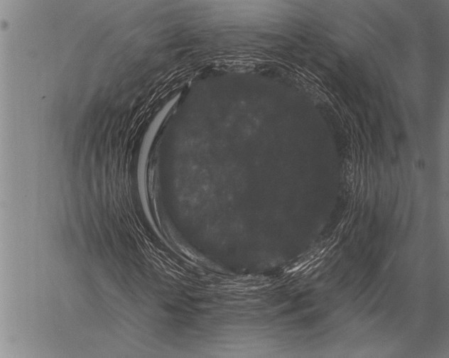 X0000057100818200509301614