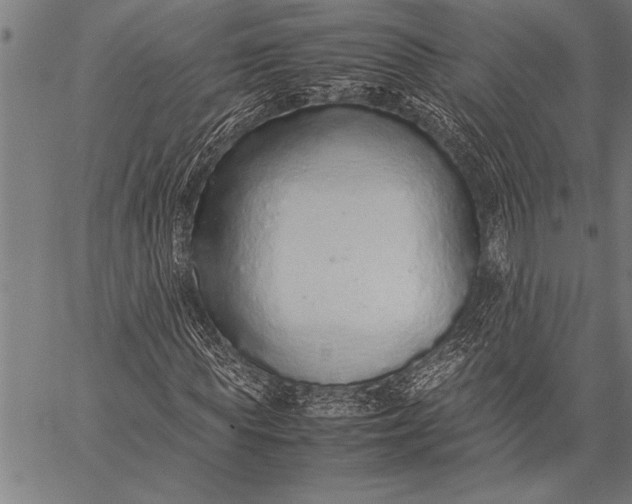 X0000057100819200509301614