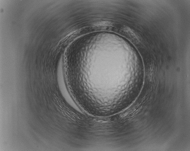 X0000057100821200509301614