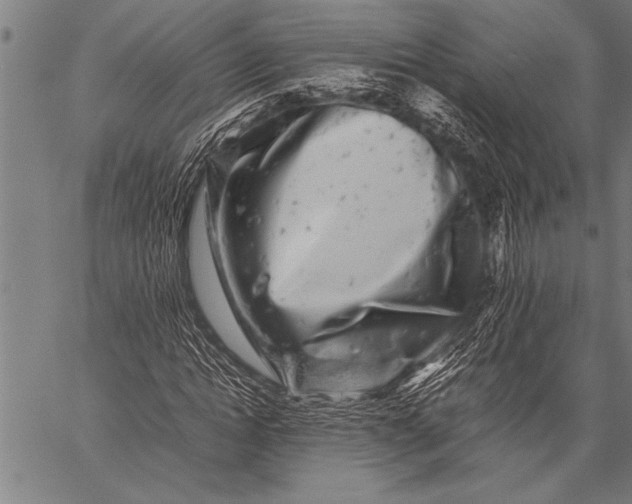 X0000057100822200509301614