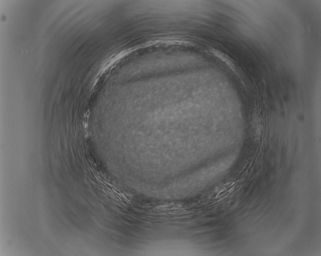 X0000057100823200509301614