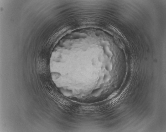 X0000057100825200509301614