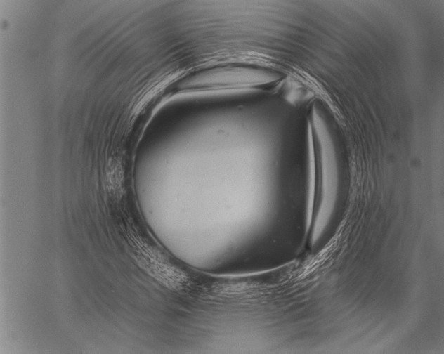 X0000057100826200509301614