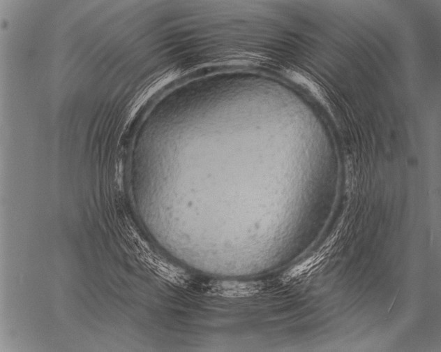 X0000057100827200509301614