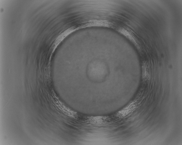 X0000057100828200509301614