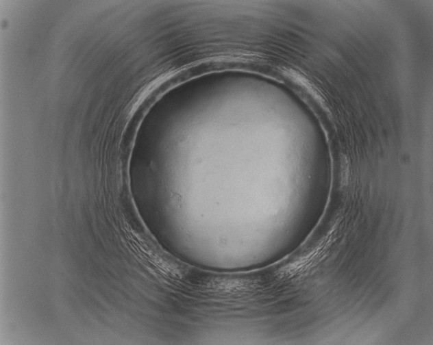 X0000057100829200509301615