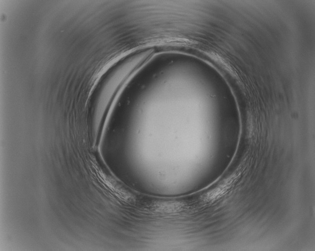 X0000057100830200509301615