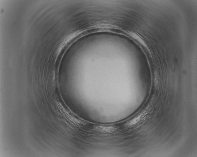 X0000057100831200509301615