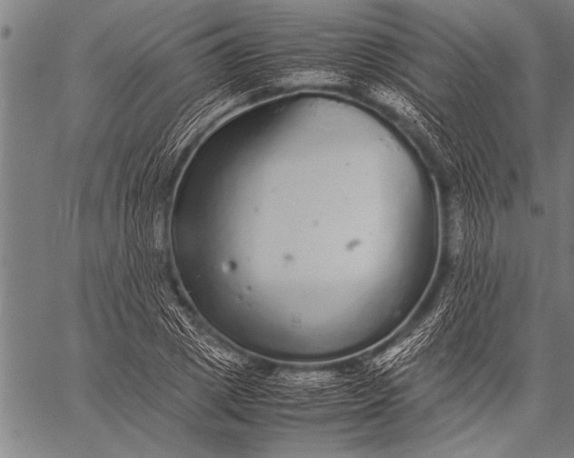 X0000057100833200509301615