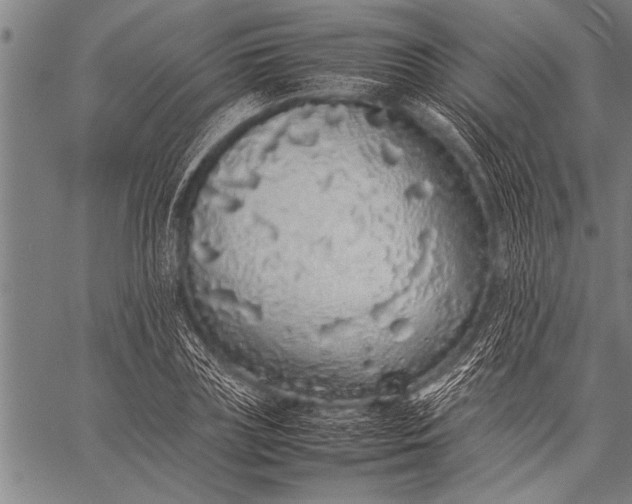 X0000057100835200509301615