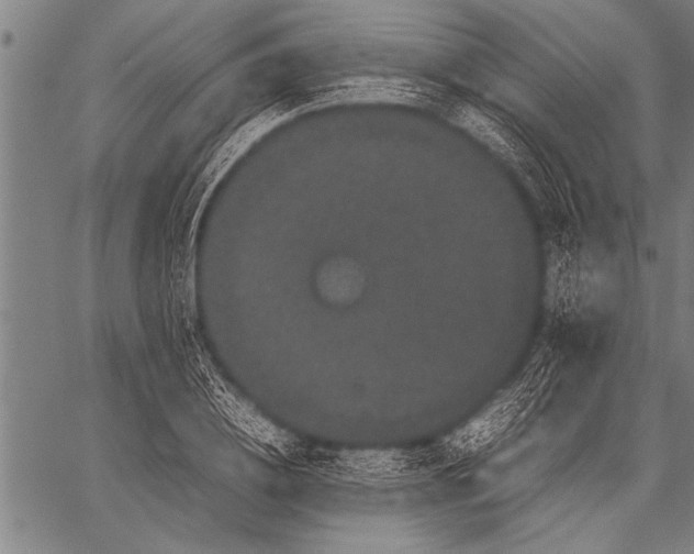 X0000057100836200509301615