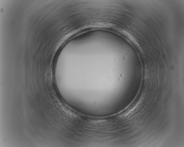 X0000057100837200509301615