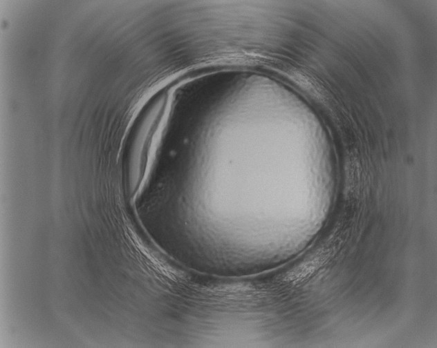 X0000057100838200509301615