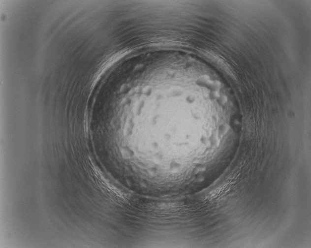 X0000057100839200509301615