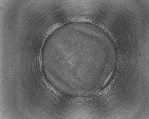 X0000057100840200509301615