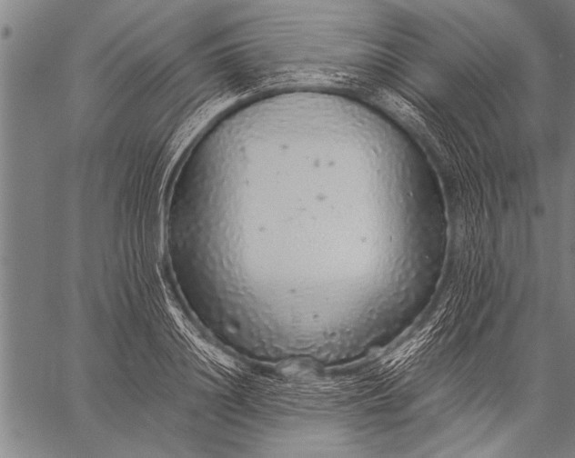 X0000057100844200509301615