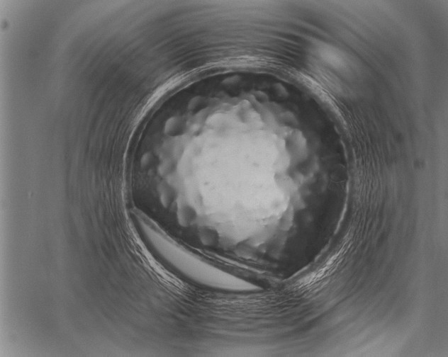 X0000057100845200509301615