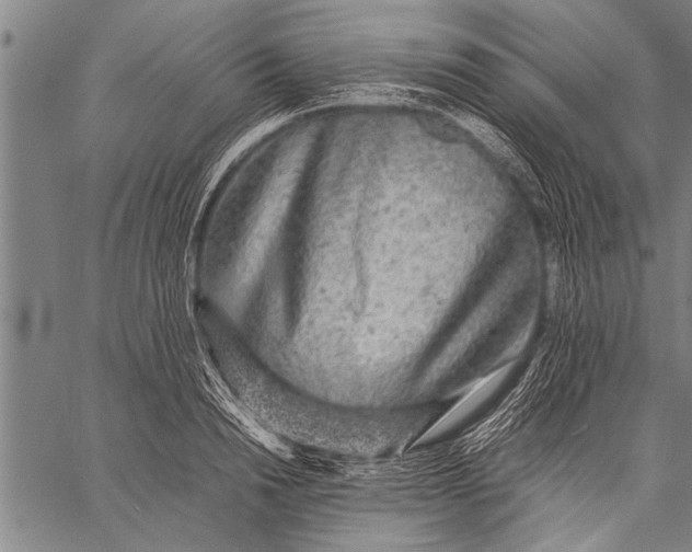 X0000057100846200509301615