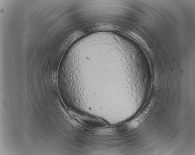 X0000057100849200509301615