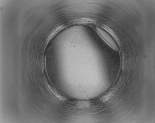 X0000057100850200509301615