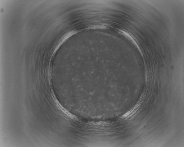 X0000057100851200509301615