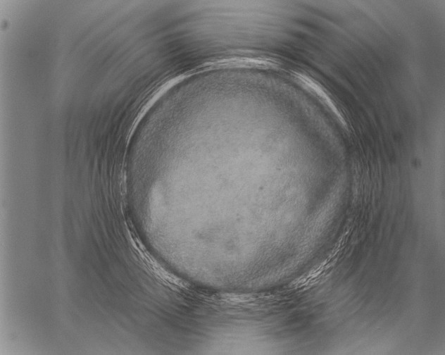 X0000057100852200509301615