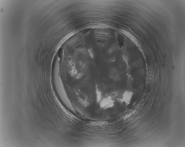 X0000057100853200509301615