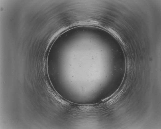 X0000057100854200509301615