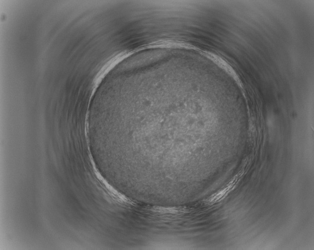 X0000057100855200509301615