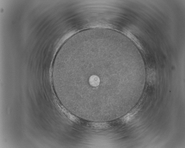 X0000057100856200509301615